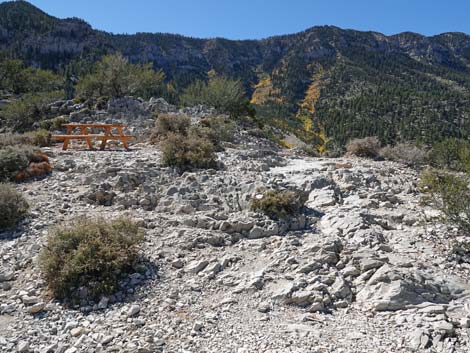 Cathedral Rock Trail