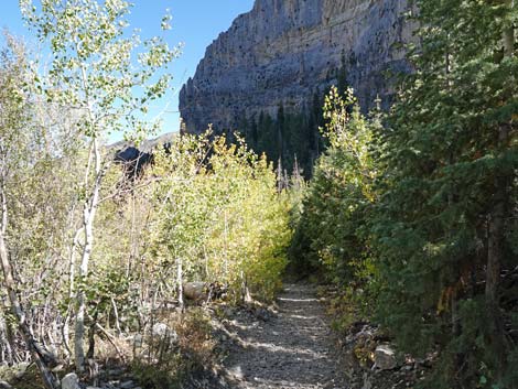 Cathedral Rock Trail