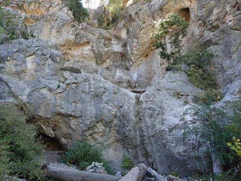 Cathedral Rock Trail