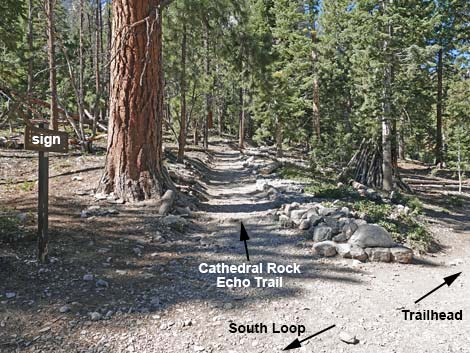 Cathedral Rock Trail