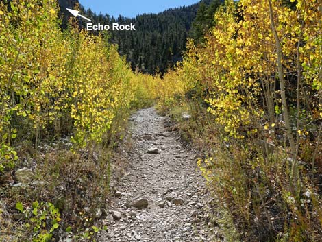 Cathedral Rock Trail