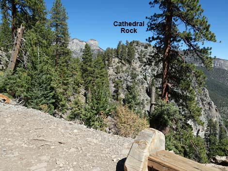 Cathedral Rock Trail