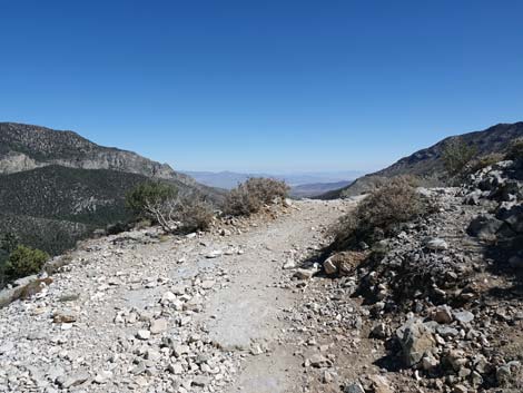 Cathedral Rock Trail