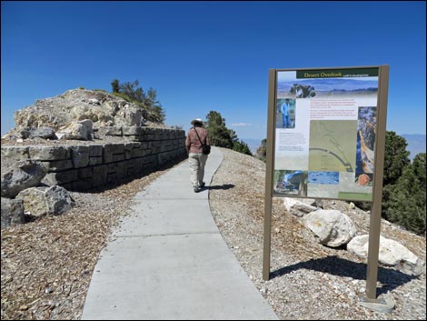 Desert View Overlook Trail