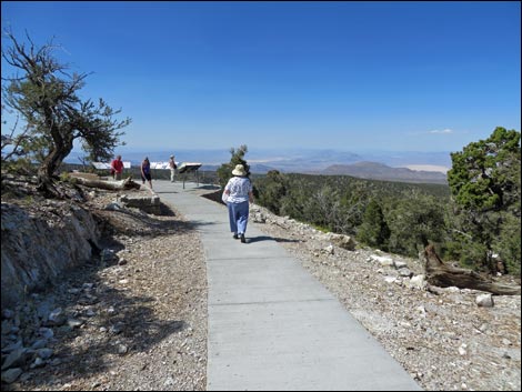 Desert View Overlook Trail