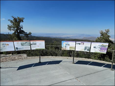 Desert View Overlook Trail