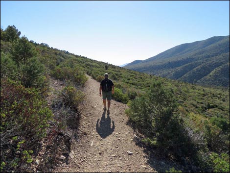 Eagle's Nest Loop Trail