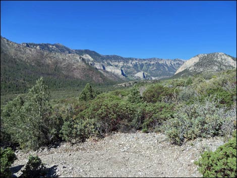 Eagle's Nest Loop Trail