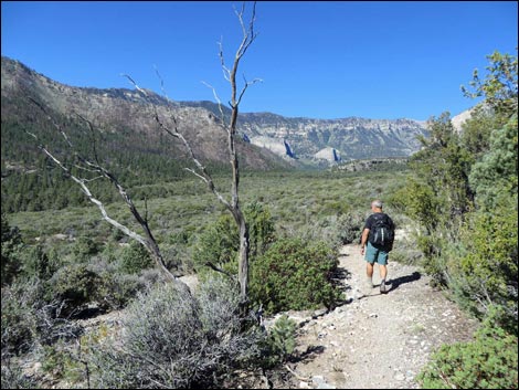 Eagle's Nest Loop Trail