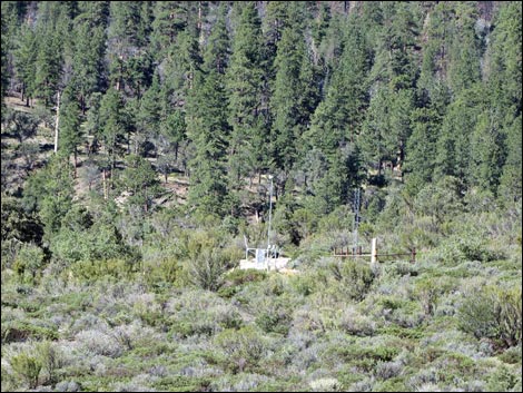 Eagle's Nest Loop Trail