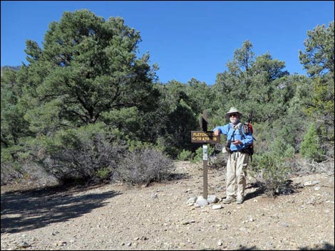 Eagle's Nest Loop Trail