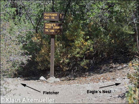 Eagle's Nest Loop Trail