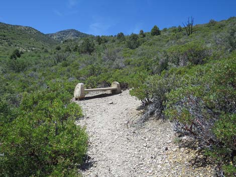 Escarpment Trail