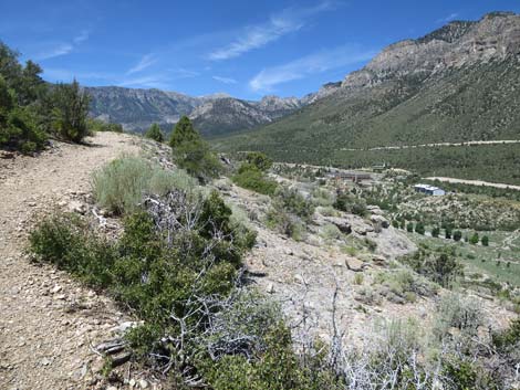 Escarpment Trail