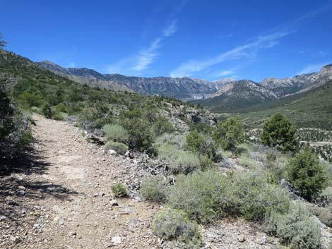 Escarpment Trail