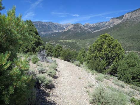 Escarpment Trail