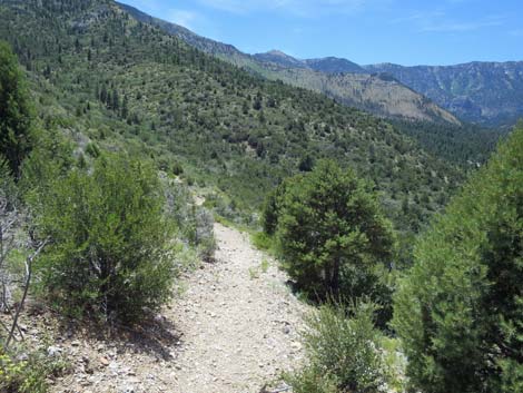 Escarpment Trail