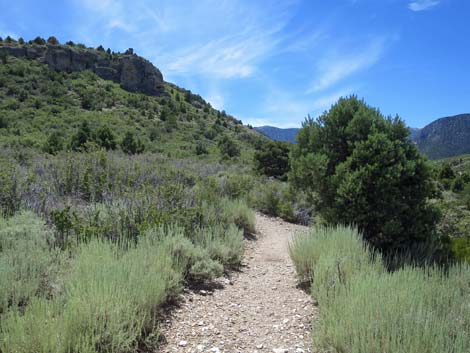 Escarpment Trail