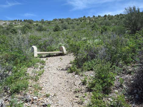 Escarpment Trail