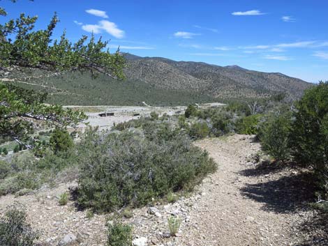 Escarpment Trail