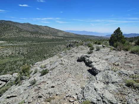 Escarpment Trail