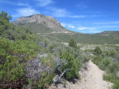 Escarpment Trail