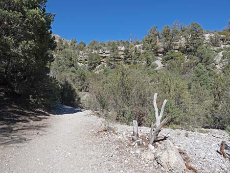 Fletcher Canyon Trail