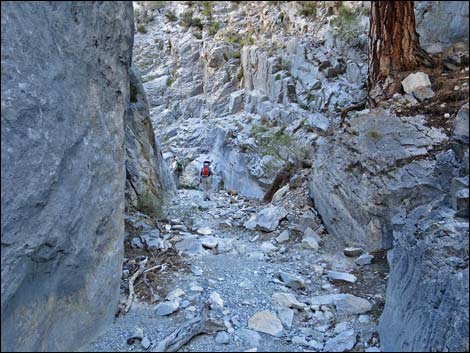 Fletcher Canyon Trail