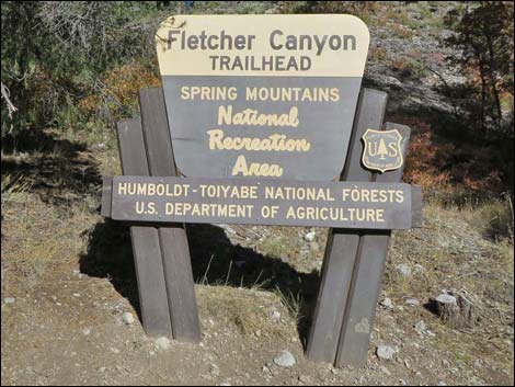 Fletcher Canyon Trail