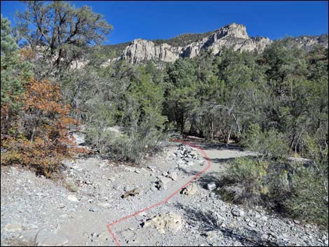 Fletcher Canyon Trail