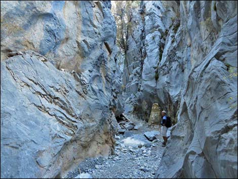 Fletcher Canyon Trail