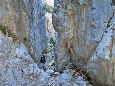 Fletcher Canyon Trail