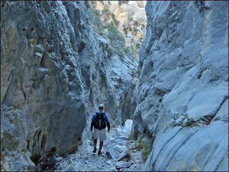 Fletcher Canyon Trail