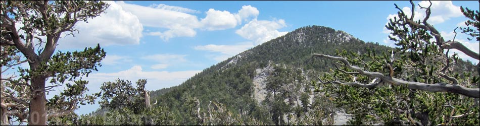 Fletcher Peak Trail