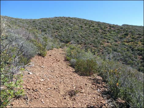 Griffith Shadow South Trail