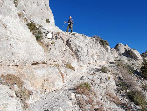 Griffith Peak