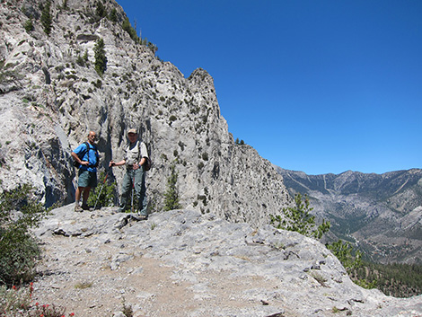 Griffith Peak Trail