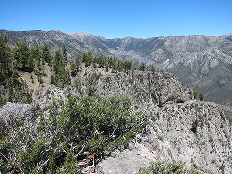 Griffith Peak Trail