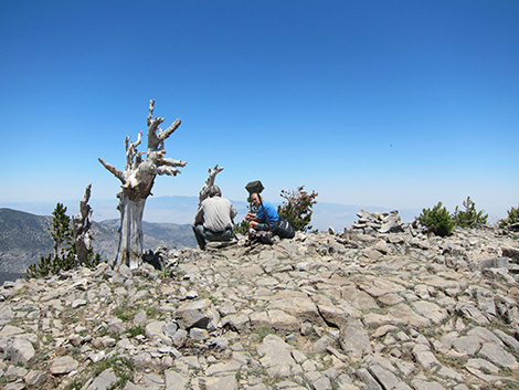 Griffith Peak