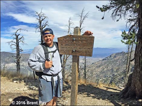 Griffith Peak Trail