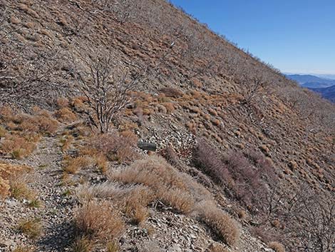 Harris Saddle Trail