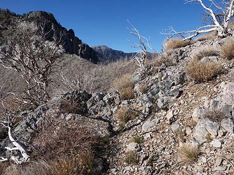 Harris Saddle Trail