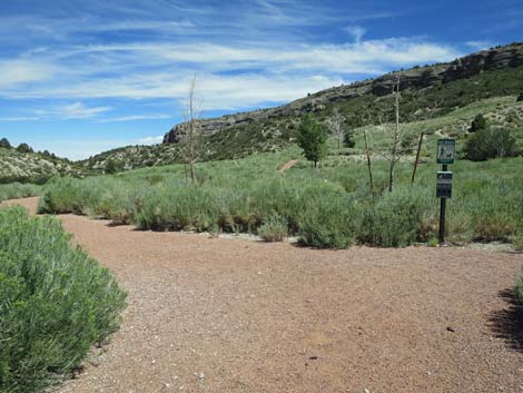 Escarpment Trail