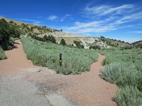 Escarpment Trail