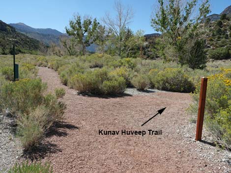 Kunav Huveep Trail