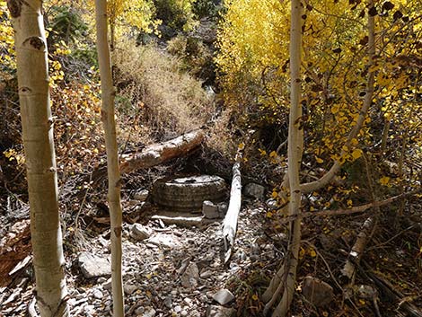 Cathedral Rock Trail