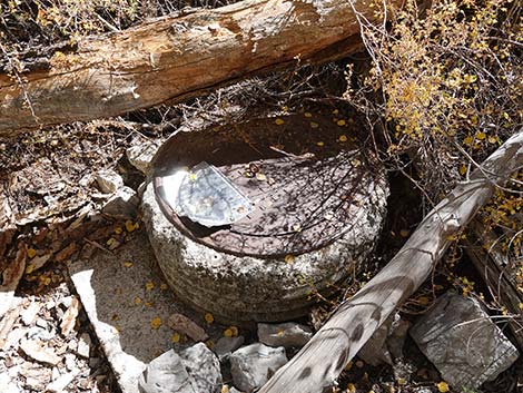 Cathedral Rock Trail