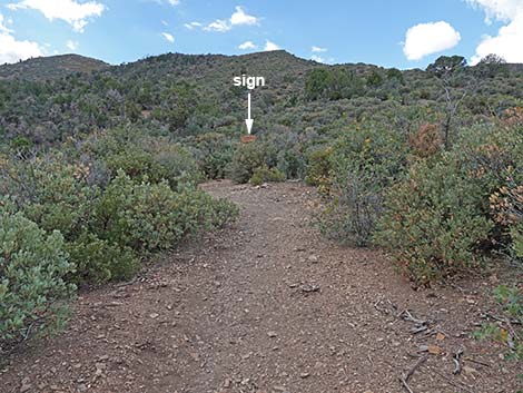 Lovell Canyon Trail