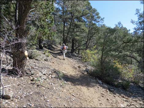 Lovell Canyon Trail