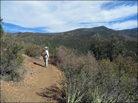 Lovell Canyon Trail